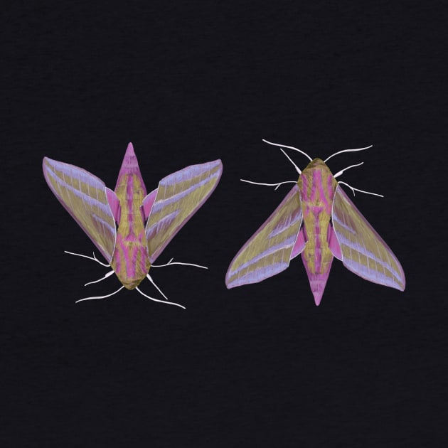 Pink Moths by artsandherbs